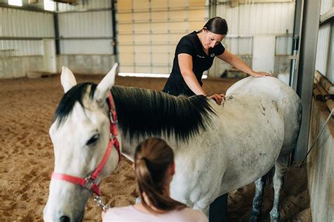 Equine chiropractor near me - Farm Manager. Always Helpful Veterinary Services. Nottingham, PA 19362. $16 - $18 an hour - Full-time. Pay in top 20% for this field Compared to similar jobs on Indeed. Apply now. 